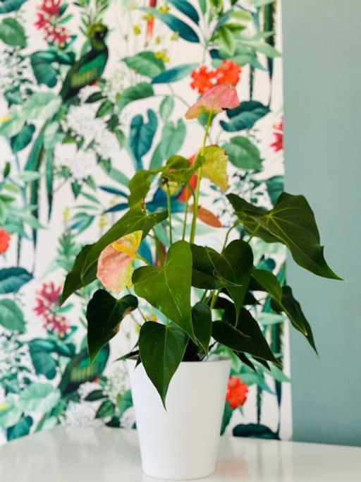 Le Jardin Secret - Jardin/Loire Apartment Tours Exterior photo